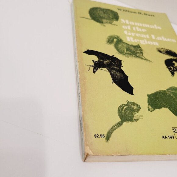 Vtg 1972 MAMMALS of the GREAT LAKES REGION by WILLIAM H. BURT - Picture 6 of 8